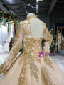 Champagne Ball Gown Tulle Sequins Appliques High Neck Long Sleeve Backless Beading Flower Girl Dress With Train