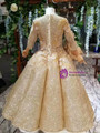 Fashion Gold Ball Gown Sequins Appliques Beading Long Sleeve Flower Girl Dress