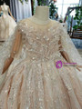 Champagne Ball Gown Tulle Sequins Appliques Backless Flower Girl Dress With Shawl