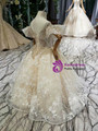 Champagne Ball Gown Tulle Sequins Appliques Beading Backless Flower Girl Dress