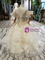 Champagne Ball Gown Tulle Sequins Appliques Beading Backless Flower Girl Dress
