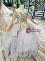 Fancy Gray Tulle Embroidery Short Sleeve Backless Beading Appliques Flower Girl Dress