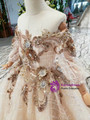 Champagne Ball Gown Tulle Sequins Off the Shoulder Long SleeveSequins  Appliques Flower Girl Dress