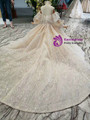 Champagne Sequins Spaghetti Straps Long Sleeve Flower Girl Dress With Long Train