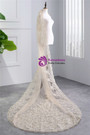 In Stock:Ship in 48 Hours Champagne Tulle Appliques Wedding Veils 
