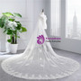 In Stock:Ship in 48 Hours White Tulle Lace Appliques Long Bride Wedding Veils