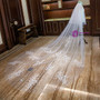In Stock:Ship in 48 Hours White Tulle Appliques Flower Long Brides Veils 