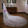 In Stock:Ship in 48 Hours Sparkling Stars Luxury Long Tail Head Yarn Wedding Veil