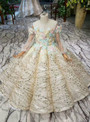 Champagne Sequins Off the Shoulder Appliques Long Sleeve Flower Girl Dress