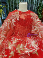 Red Tulle Embroidery Appliques Beading Luxury Flower Girl Dress With Shawl