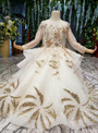 Champagne Ball Gown Long Sleeve Backless Tulle Gold Sequins Appliques Flower Girl Dress