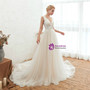 Champagne Ball Gown Tulle V-neck Backless Appliques Pleats Wedding Dress