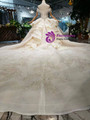 Brilliant Champagne Ball Gown Tulle Sequins Off the Shoulder Wedding Dress 2020