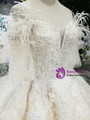 Brilliant Champagne Ball Gown Tulle Lace Appliques Off the Shoulder Wedding Dress With Feather 2020