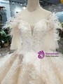 Brilliant Champagne Ball Gown Tulle Lace Appliques Off the Shoulder Wedding Dress With Feather 2020