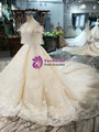 Brilliant Champagne Ball Gown Tulle Lace Appliques Off the Shoulder Wedding Dress With Feather 2020
