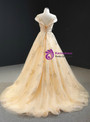 A-Line Champagne Tulle Sequins Cap Sleeve Open Back Long Prom Dress 2020