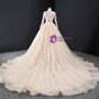 Pretty Champagne Ball Gown Tulle Sequins Long Sleeve Backless Prom Dress 2020