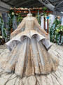 Pretty Gray Ball Gown Tulle Gold Lace Appliques Flower Girl Dress With Shawl 2020 