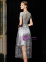 Popular Romance Silver Gray Tulle Lace Short Sleeve Embroidery Mother Of The Bride Dress