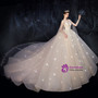 New arrivals Champagne Tulle Cap Sleeves Backless Beading Tulle Long Train Wedding Dress