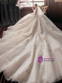 Exquisite Long Sleeves Appliques Long Sleeve Backless Tulle Appliques Wedding Dress