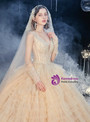 Shinning Dark Champagne V-neck Tulle Tiers Beading Wedding Dress