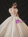 Champagne Scoop Neck Tulle Puff Sleeve Illusion Backless Beading Wedding Dress