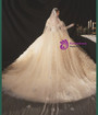 Tulle Tiers Off the Shoulder Beading Sequins Dark Champagne Wedding Dress 