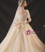Attractive Champagne Tulle Square Short Sleeve Beading Pearls Wedding Dress