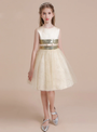 Champagne Tulle Sequins Flower Girl Dress With Bow