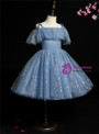 Blue Tulle Sequins Spaghetti Straps Short Flower Girl Dress