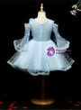 Blue Tulle Long Sleeve Cold Sleeve Appliques Flower Girl Dress