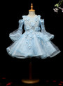 Blue Tulle Long Sleeve Cold Sleeve Appliques Flower Girl Dress