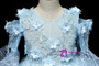 Blue Tulle Long Sleeve Cold Sleeve Appliques Flower Girl Dress
