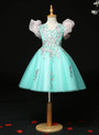 Green Tulle Appliques Puff Sleeve Short Flower Girl Dress