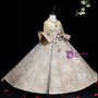 Champagne Tulle Lace Short Sleeve Embroidery Flower Girl Dress