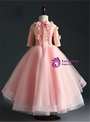 Princess Pink Hi Lo Tulle Short Sleeve Appliques Flower Girl Dress