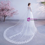 In Stock:Ship in 48 Hours White Tulle Lace Short Sleeve Wedding Dress