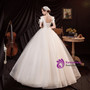 In Stock:Ship in 48 Hours Ball Gown Tulle Short Sleeve Wedding Dress