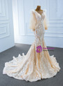 Champagne Mermaid Tulle Appliques Long Sleeve Prom Dress