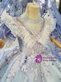 Blue Tulle High Neck Puff Sleeve Appliques Flower Girl Dress