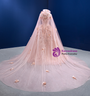 Pink Tulle Sequins 3D Appliques Prom Dress With Shawl