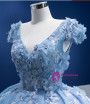 Blue V-neck Cap Sleeve Tulle Appliques Prom Dress