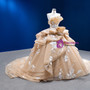 Vintage Champagne Strapless Tulle Appliques Prom Dress