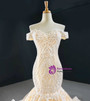 Champagne Mermaid Tulle Lace Beading Wedding Dress