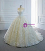 Ivory Ball Gown Tulle Lace Pleats Wedding Dress