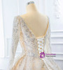 Ball Gown Tulle Sequins Long Sleeve Backless Wedding Dress