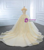 Champagne Tulle Off the Shoulder Wedding Dress