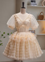 Champagne Tulle V-neck Puff Sleeve Pleats Homecoming Dress